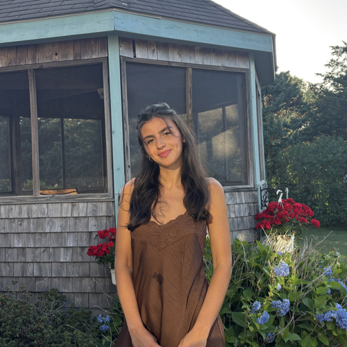Alisa L - UConn Babysitter