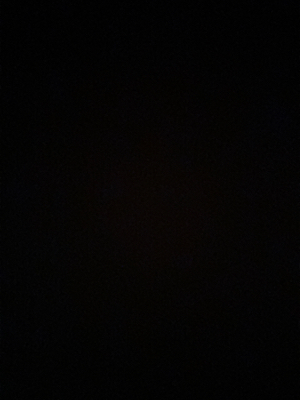 El H - NIU Babysitter