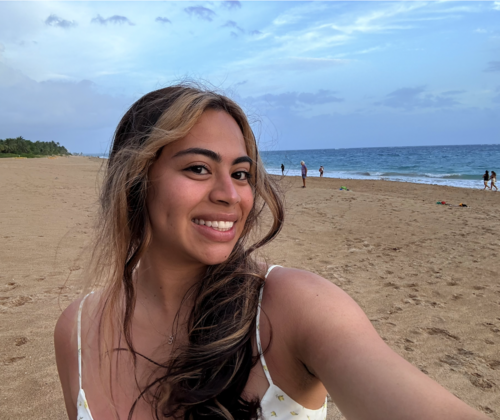 Ericka B - Collin College Babysitter
