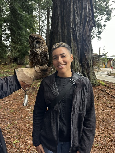 Kylie M - HSU Babysitter