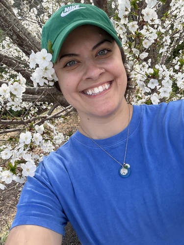 Emily H - Manchester Community College (CT) Babysitter