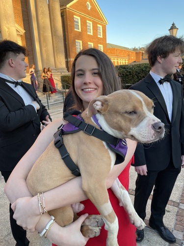 Lucy P - Samford Babysitter