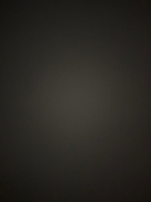 Alexandra U - Bunker Hill Community College  Babysitter