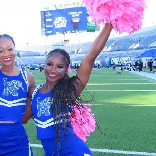 Sentasia R - University of Memphis Babysitter