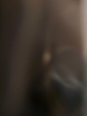 Gabrielle M - RCC Babysitter