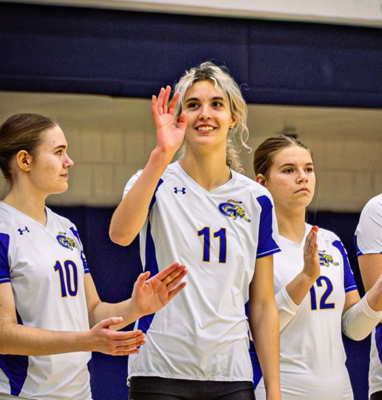 Gabriella Z - Genesee Babysitter