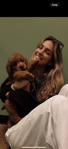 Aalyah S - Waubonsee Community College  Babysitter