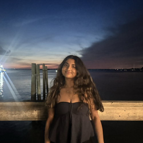 Khushi A - SUNY Binghamton Babysitter