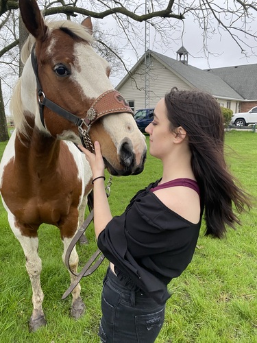 Kaitlyn N - Ivy Tech Community College- Lafayette Babysitter