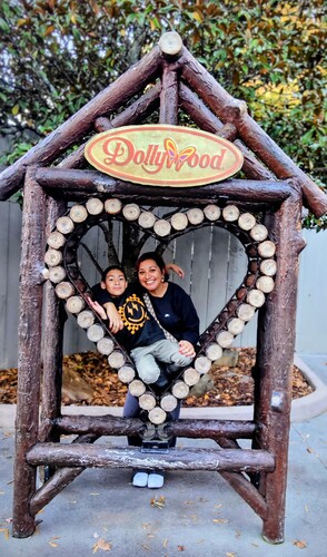 Araceli O - University of Phoenix-Illinois Babysitter