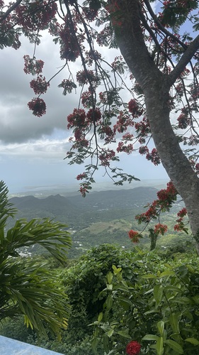 Jeyriam Z - Naugatuck Valley Community College Babysitter