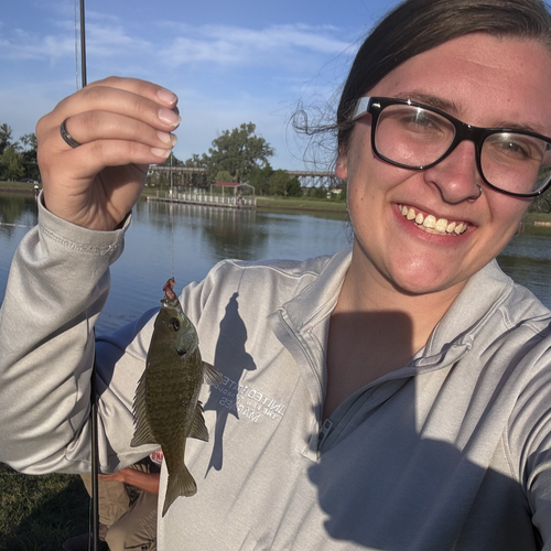 Brittany D - Mid-Plains Community College Area Babysitter