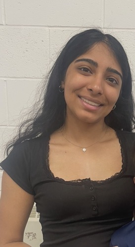 Sarina D - Northeastern University Babysitter