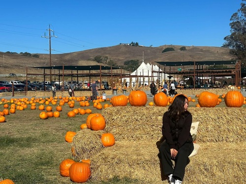 Karina A - De Anza Babysitter