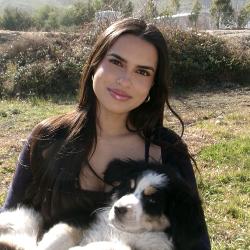 RAYA Z - UCLA Babysitter