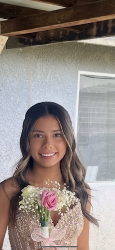 Ava J - West Hills Community College- Coalinga Babysitter