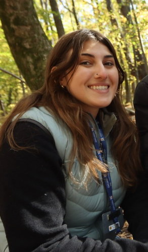 Courtney P - SNHU Babysitter