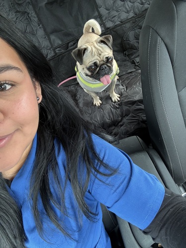 Stephanie A - High Desert Medical College Babysitter