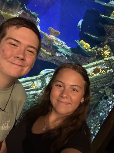 Anna C - Troy Babysitter