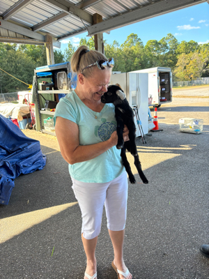 Dori W - UK Babysitter