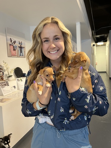 Mackenna T - Puget Sound Babysitter