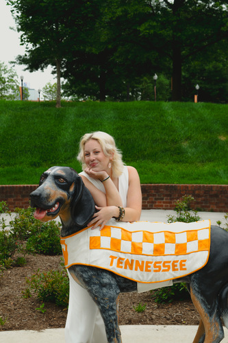 Ryan B - UTK Babysitter