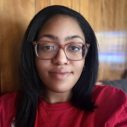 Nyla S - Oakland Community College- Auburn Hills Babysitter