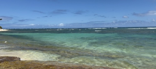 Zee M - Leeward Community College  Babysitter