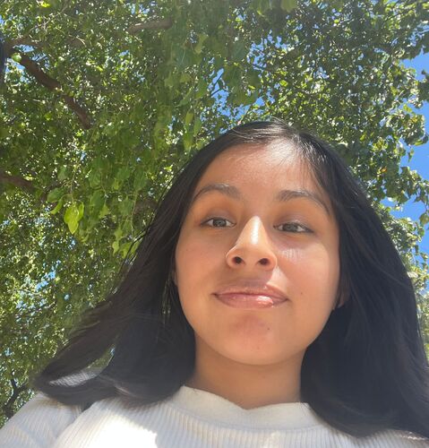 Andrea A - UC Davis Babysitter