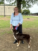 Savannah H – WGU Student Seeking Nanny Jobs