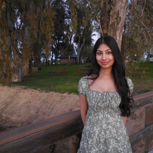 Aziz A - UC Merced Babysitter