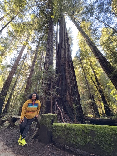 Rebecca B - ULV Babysitter