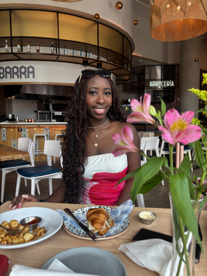 Alexandria R - Allegheny Babysitter