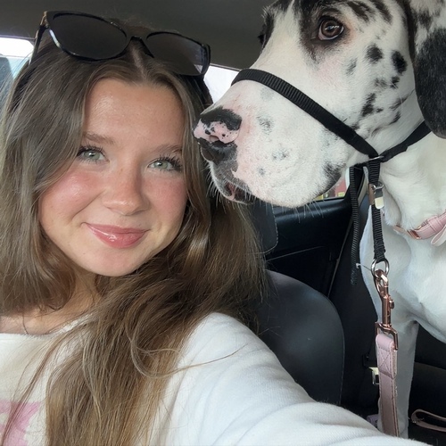 Hailee S - Dakota County Technical College Babysitter