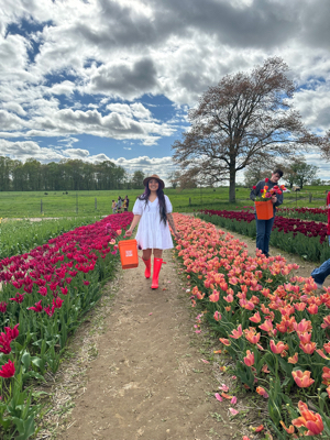 Sylvia K - ATI College-Norwalk Babysitter