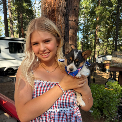Allyson W - UNR Babysitter