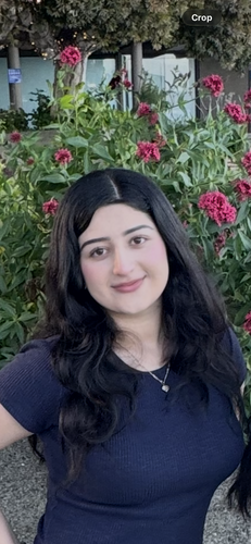 Stephanie M - COM Babysitter