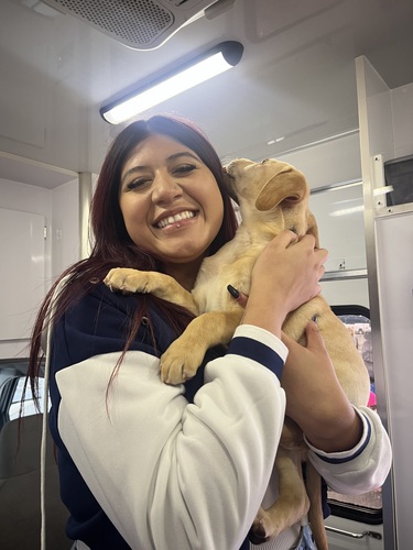 Laila B - UNR Babysitter