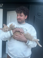 Matthew S – MUW Student Seeking Nanny Jobs