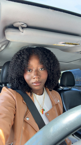 Melissa A - WGU Babysitter