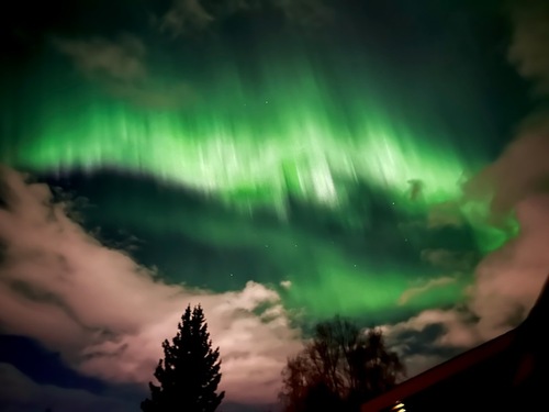 Barbara K - HPU Babysitter