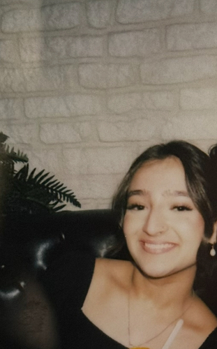 Areesha S - Oakton Community College  Babysitter