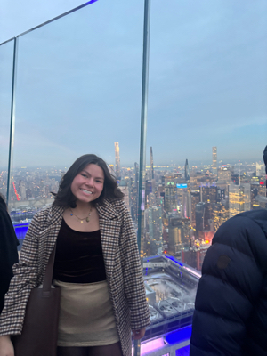 Lela C - North Greenville Babysitter