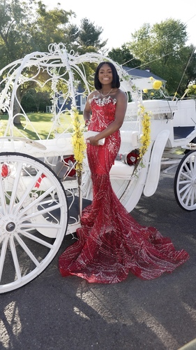 Kemora G - Hofstra Babysitter