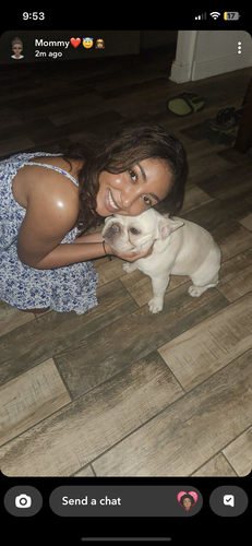 Jasmine L - Chamberlain College of Nursing-Indiana Babysitter