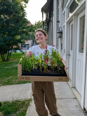 Tea U - Umass Babysitter