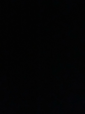 Ariana M - RCC Babysitter