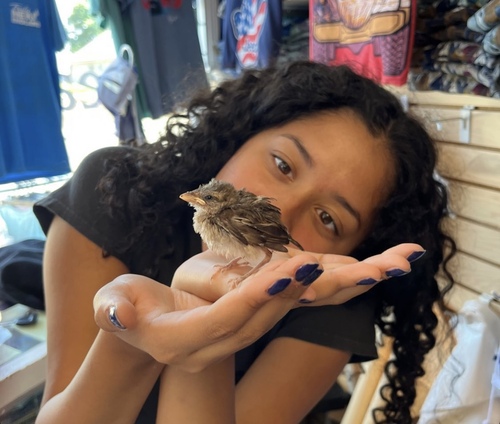 Maya G - Emmanuel Babysitter