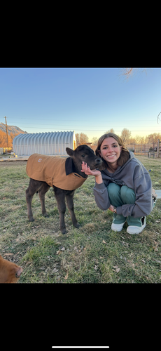 Paisley W - USU Babysitter