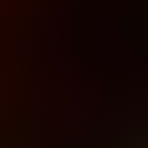 Akiera L - LA Tech Babysitter